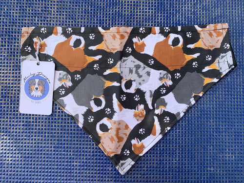 Australian Shepherd Bandana - Trotting Aussies